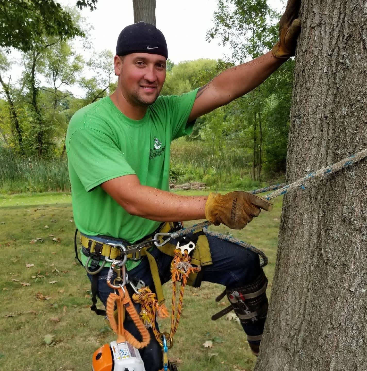 Al in full climbing gear on a tree trunk
